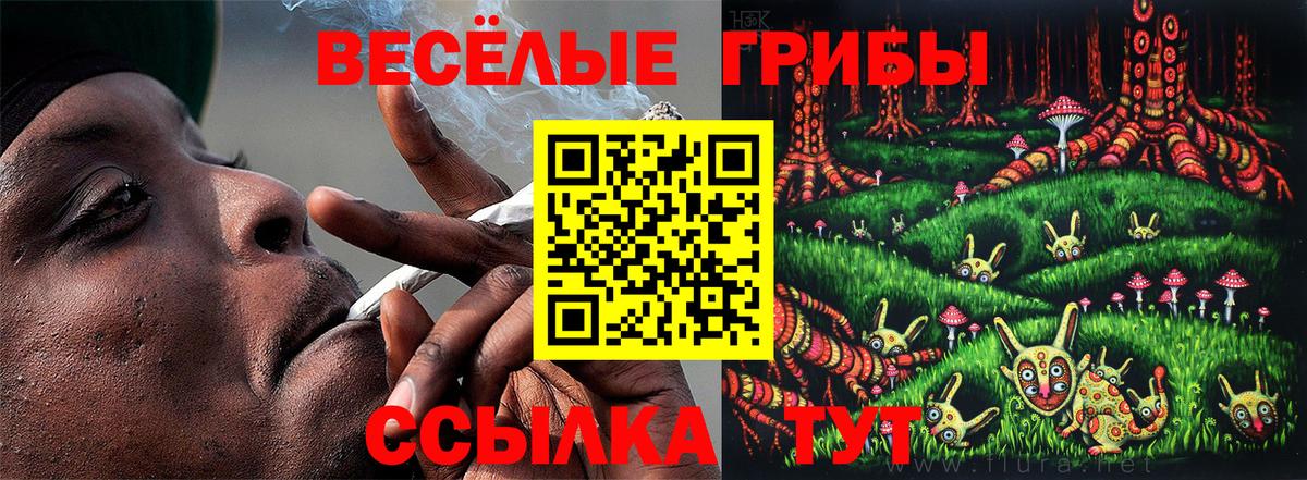 Гатчина  Галлюциногенные грибы мицелий  Вход с VPN 